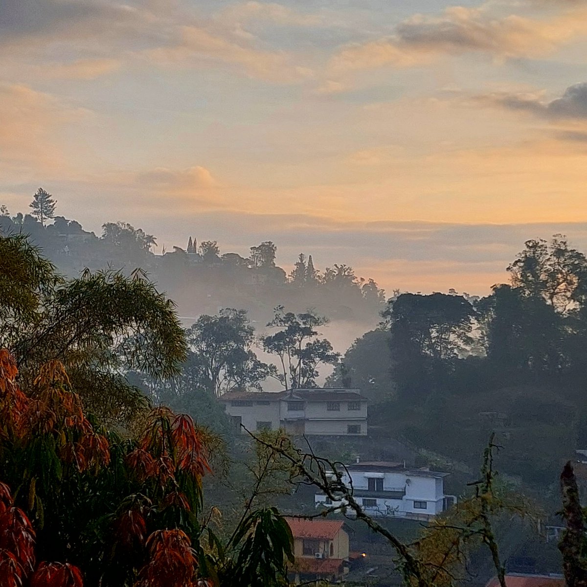 levaristo's tweet photo. Paisaje mañanero desde mi ventana 😍 
Feliz fin de semana ❤️🇻🇪 https://t.co/JZyZWoVbVS