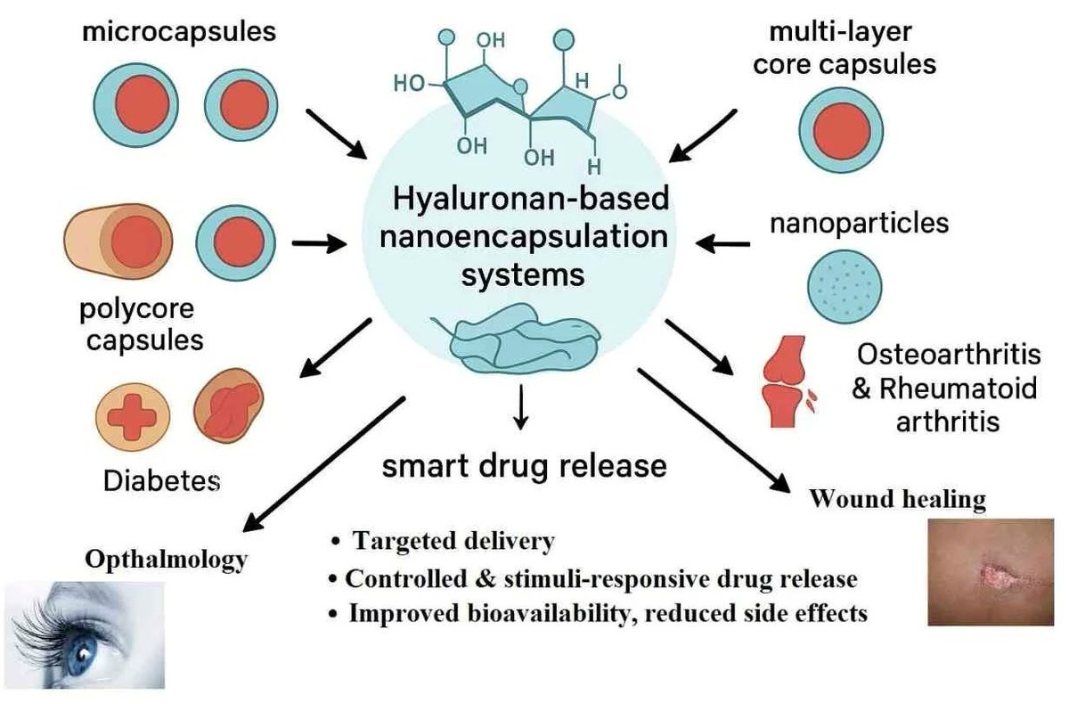 Molecules_MDPI's tweet image. 👀 Have you seen this #OpenAccessReview yet?
👉 "Progress in Hyaluronan-Based Nanoencapsulation Systems for Smart Drug Release and Medical Applications" by Valachová et al.
🔗 Find it here: brnw.ch/21x2842
📌 #Medicine #Hydrogels