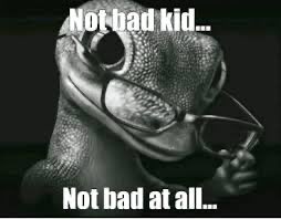 Fish Bone tweet media