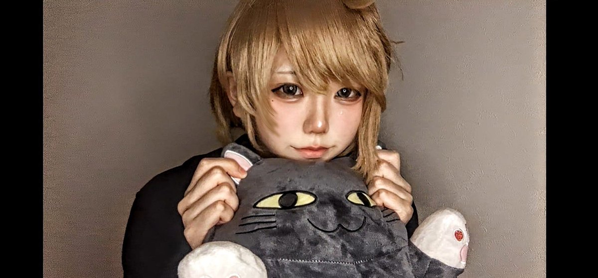 ドン tweet media