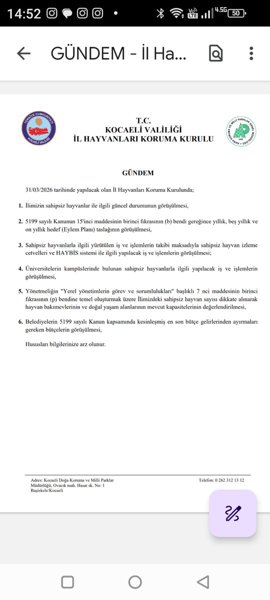 KOCAELİDER41 tweet media