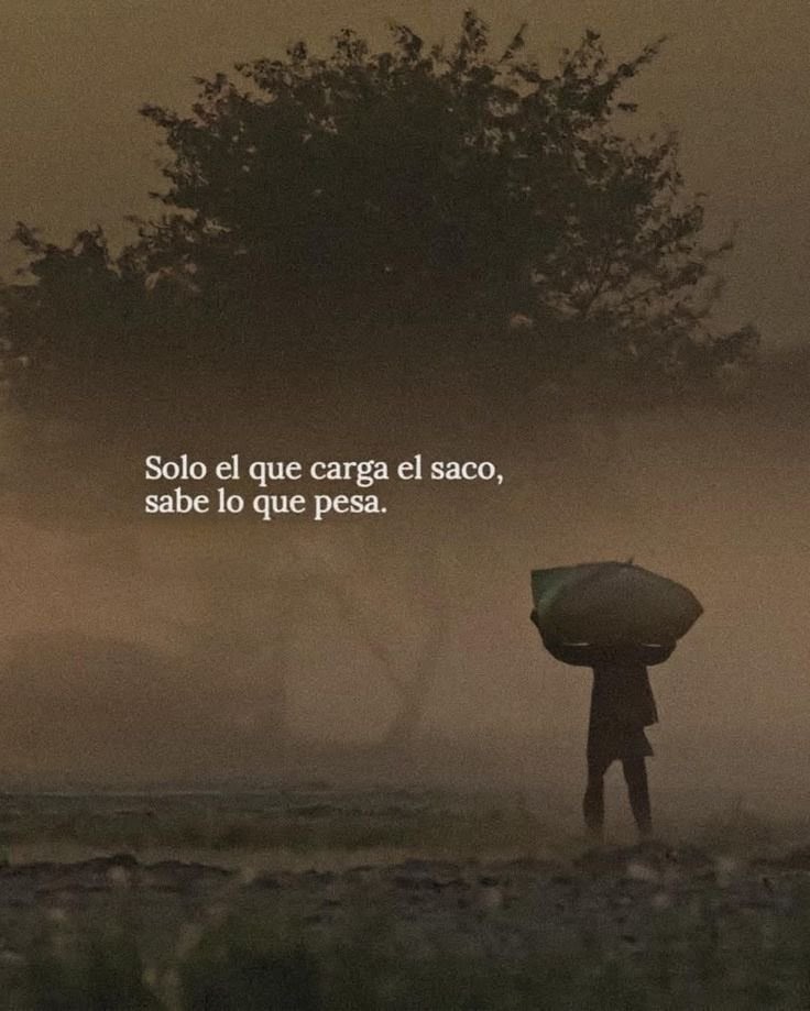 180° || Reflexiones tweet media