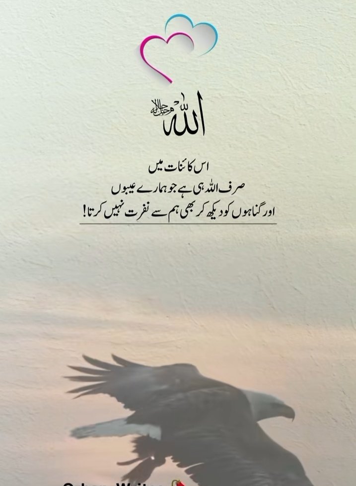 کومل_ناز tweet media