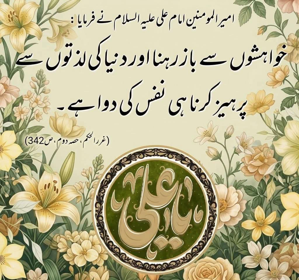 Dimah Zehra tweet media