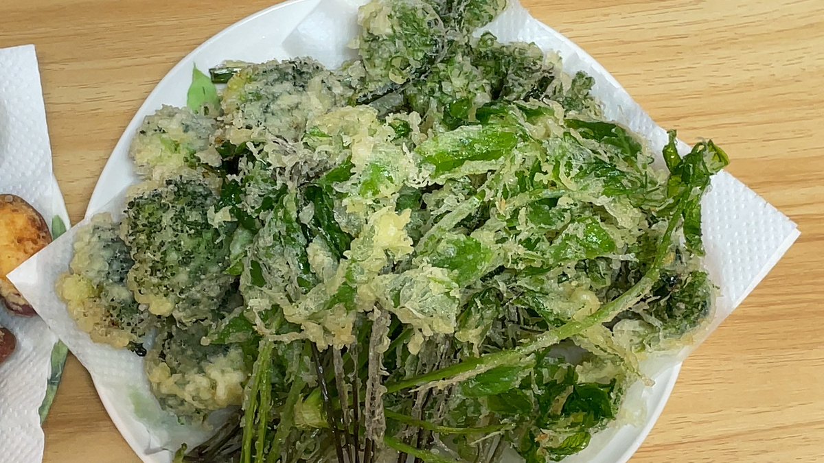 baldhead168's tweet photo. 夜の男飯😎

今日は娘と一緒に天ぷらを揚げました😊
山菜は“こしあぶら”と“こごみ”、あとは初めて作った“漬けまぐろ”！
“漬けまぐろ”美味かった🤤

少し残ったので、明日のお昼は蕎麦かうどんだなぁ。
今日蕎麦だったからうどんか？ https://t.co/WcYatQLsg3