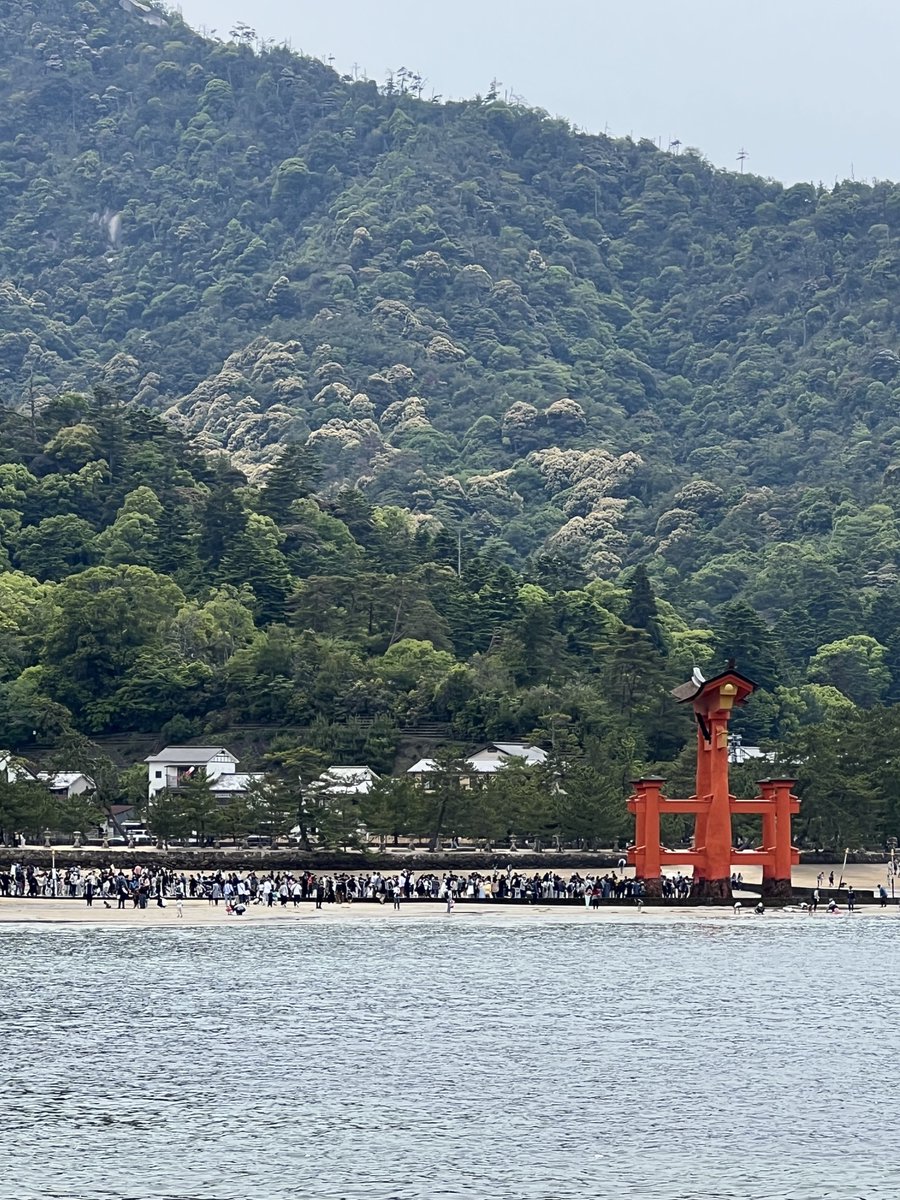 陽☀️ tweet media