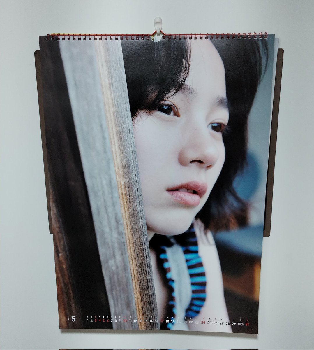 レミー人毛100%ウィッグ総手植え地肌✨能年玲奈❣️艶髪ふんわり美人ミディアム✨ 能  玲奈