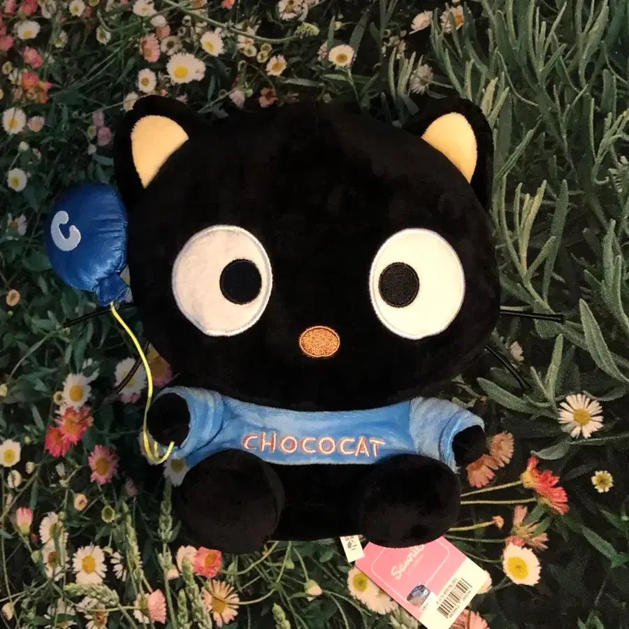 sanrio daily ✨ tweet media