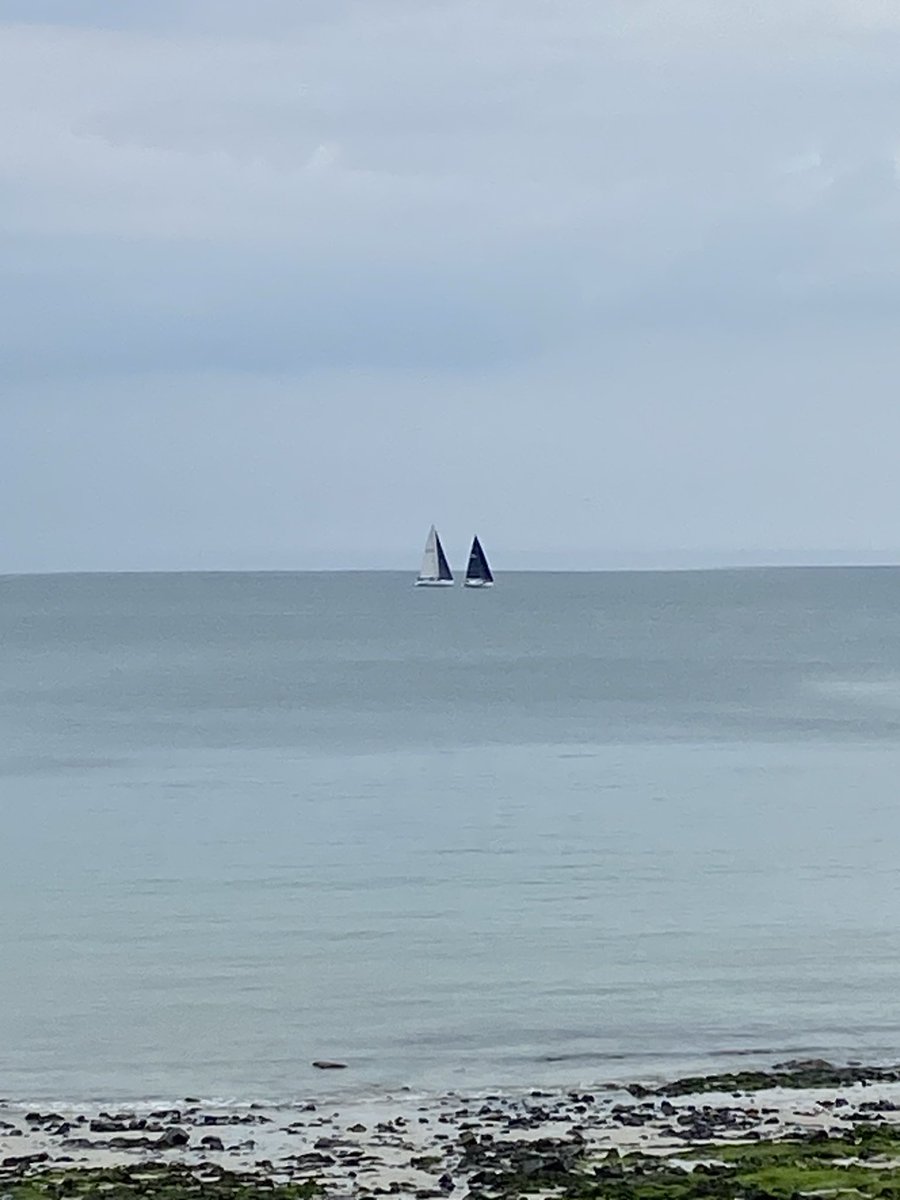 ahenk75's tweet image. From Ocean to #Space ! The « sail » could propulse beyond Solar System. #nature #technologies #innovation Img today at Granville, in Normandy