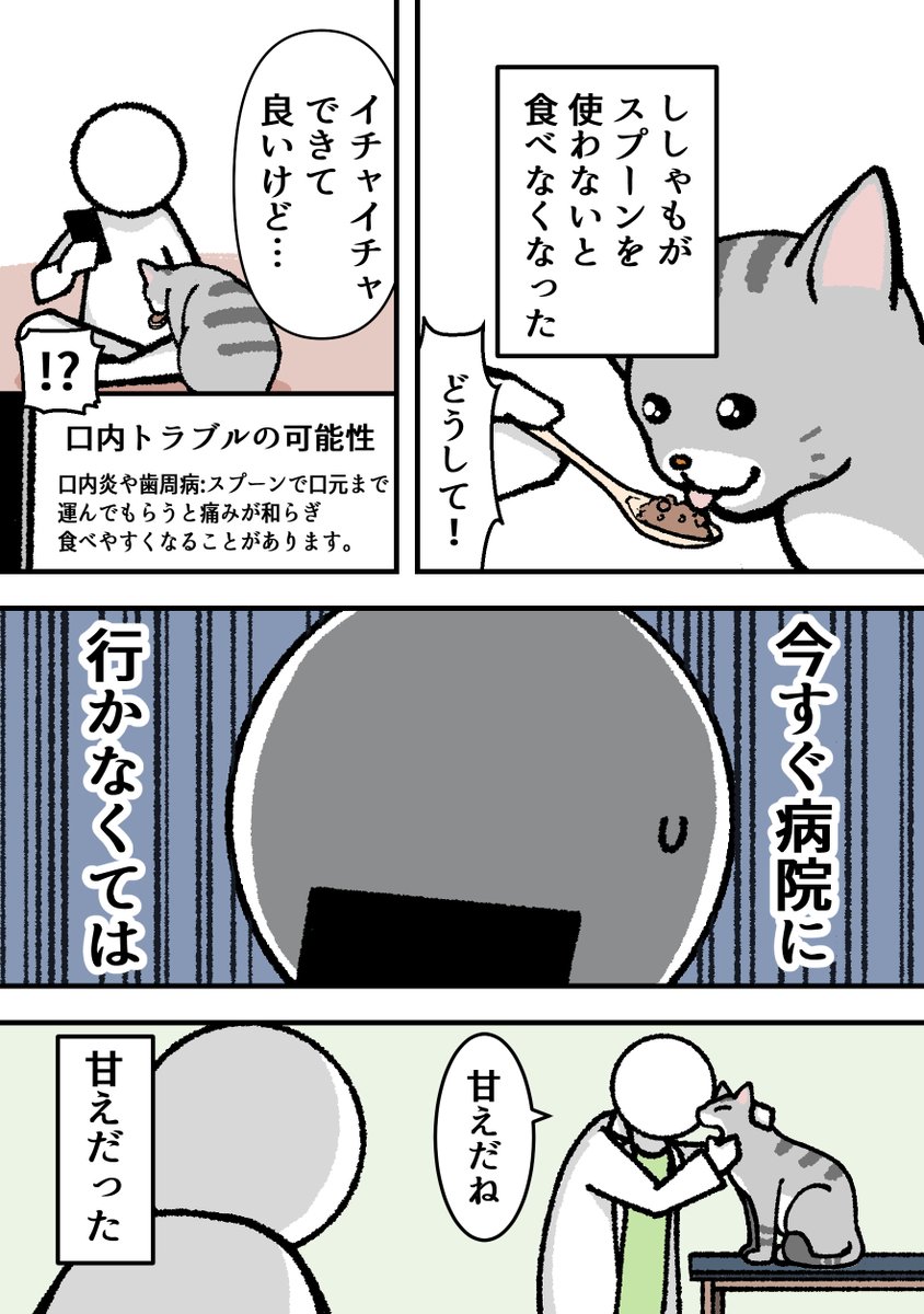 猫野ししゃも(1巻お届けチャレンジ中） tweet media