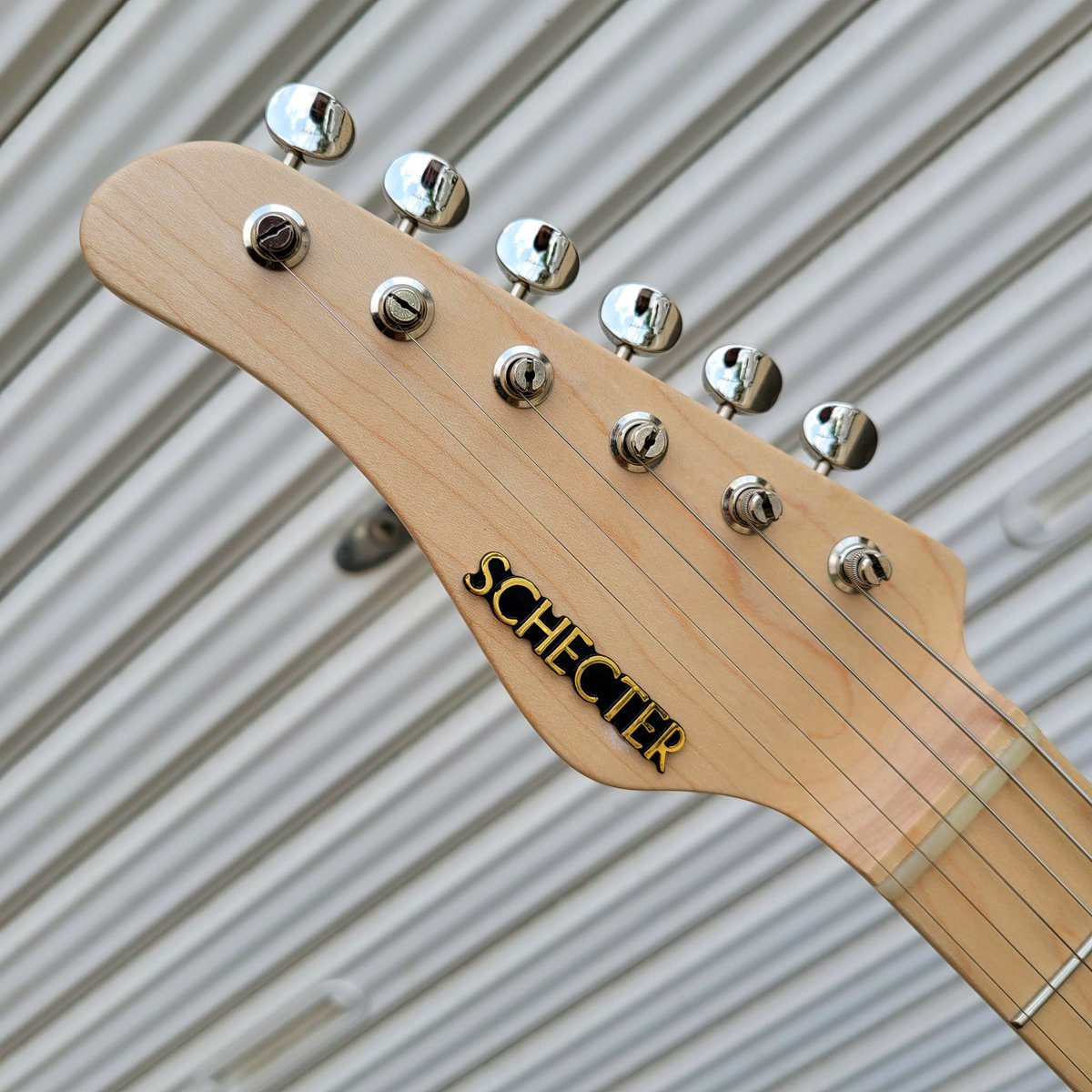 SCHECTER GUITAR JPN tweet media