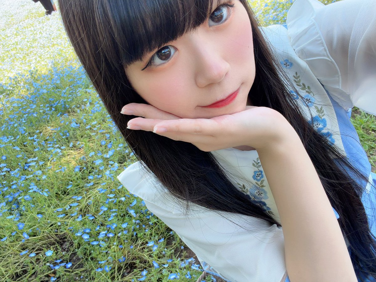 花咲 兎菜🐰💛 tweet media