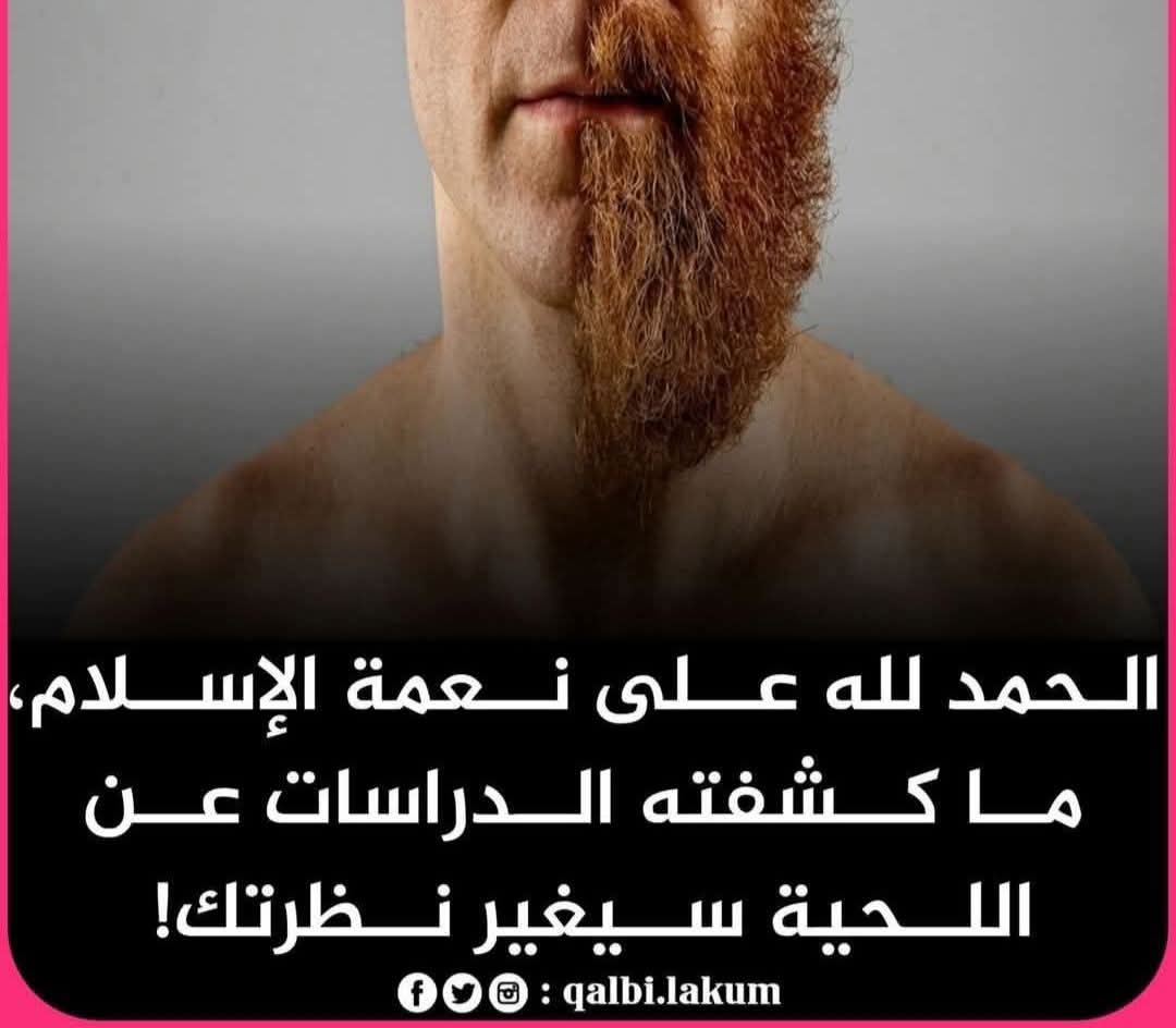 أبو حمزه tweet media