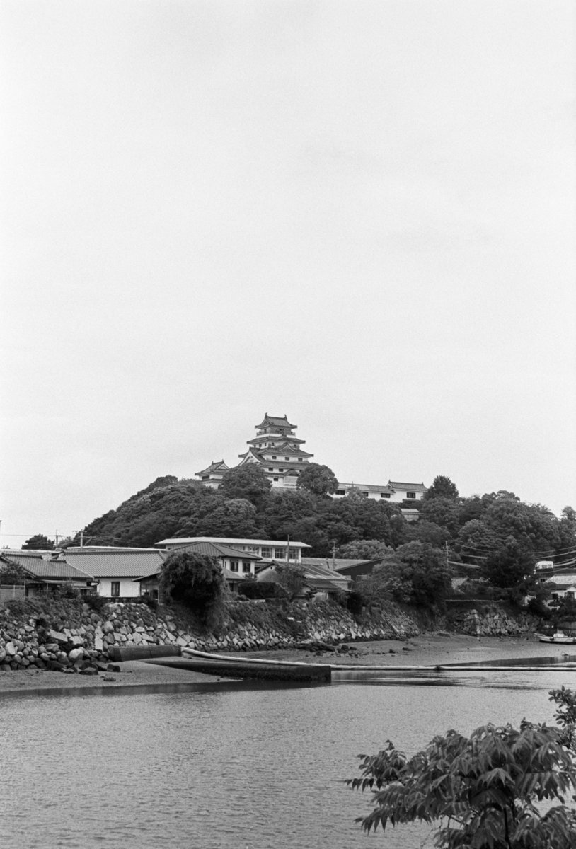 daidai634's tweet photo. 追憶の雨の中
.
#LeicaM5 #Kodak #TriX400 https://t.co/oYX5q28OYN
