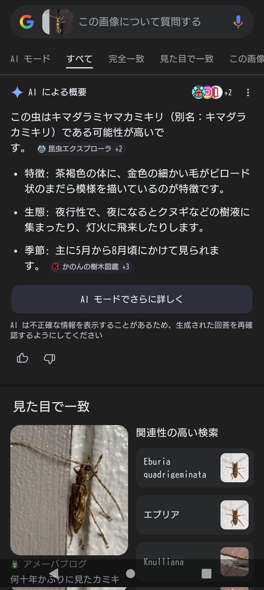 Komo🇯🇵 tweet media