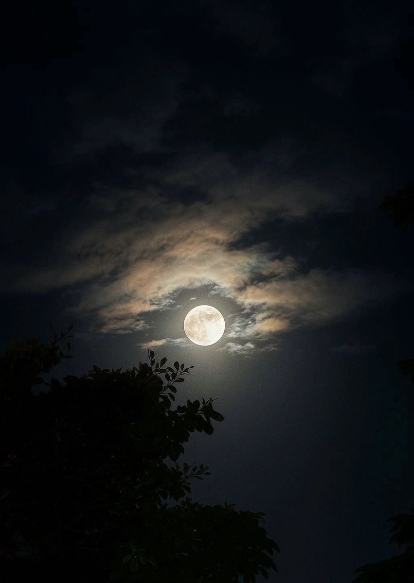 بدر الروقي tweet media