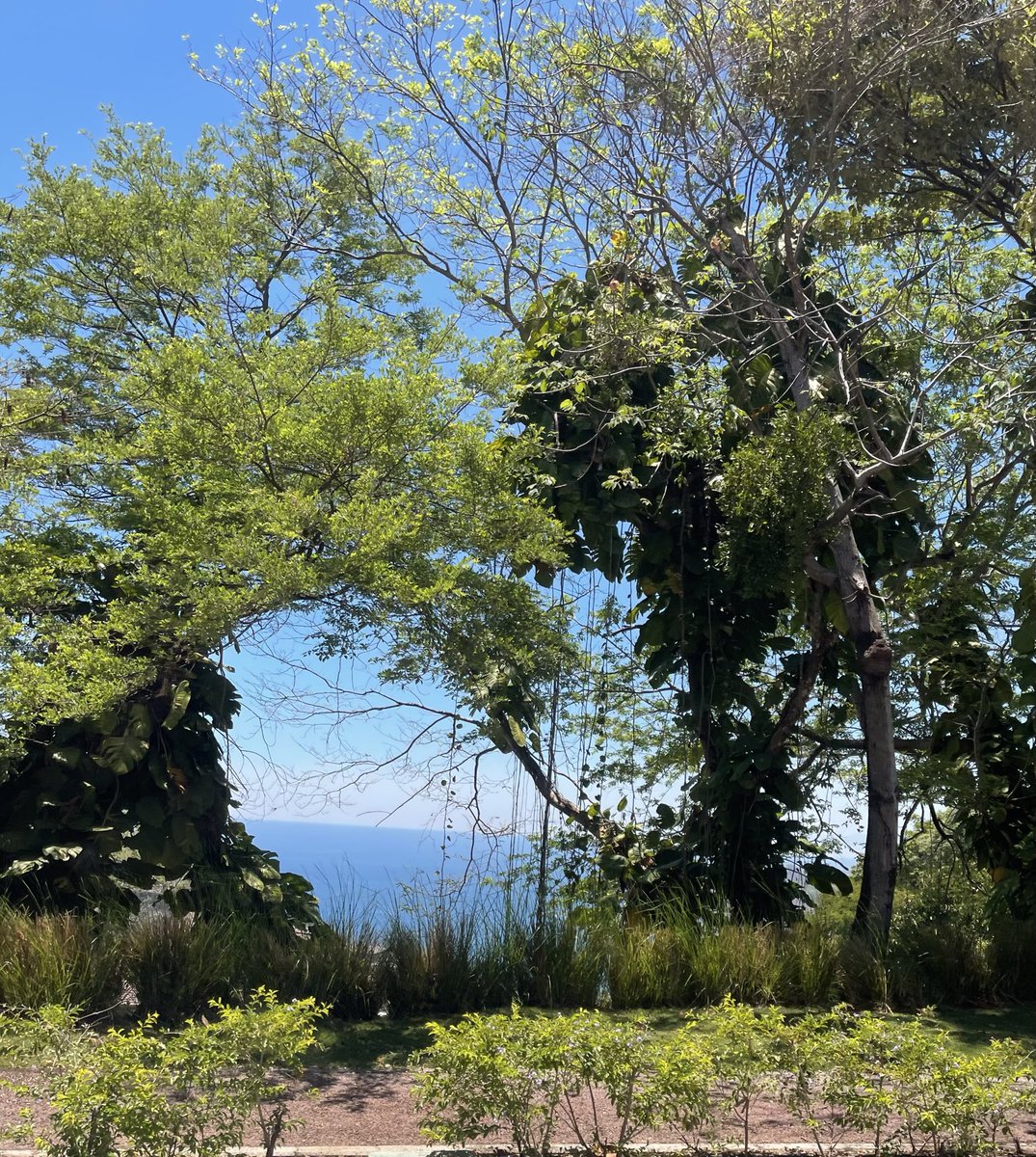 BrooklynMorganJ's tweet image. peeking 
into eternity

peeking 
into the future

peeking 
into the vastness

peeking 
into the well

peeking 
into eternity

finding
truth in the infinite

finding
truth in being

living
truth in the self

i am
brooklynmorgan
#inspire
