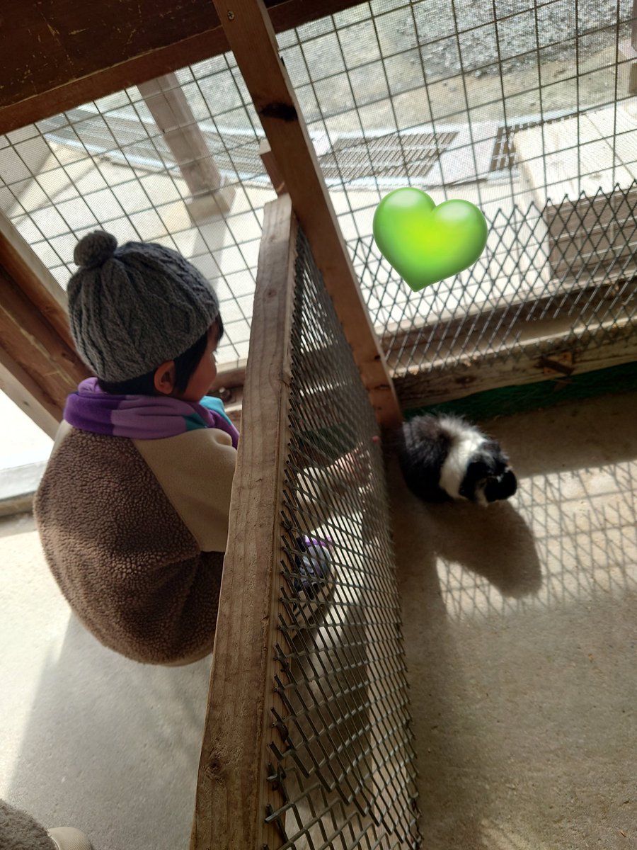 💚🤞ユイグソ先生💩💚 tweet media