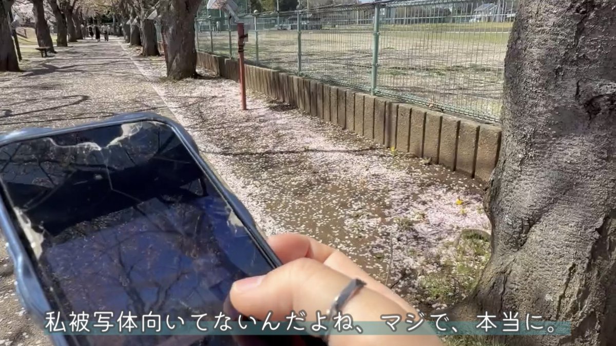 内藤 千佳 tweet media