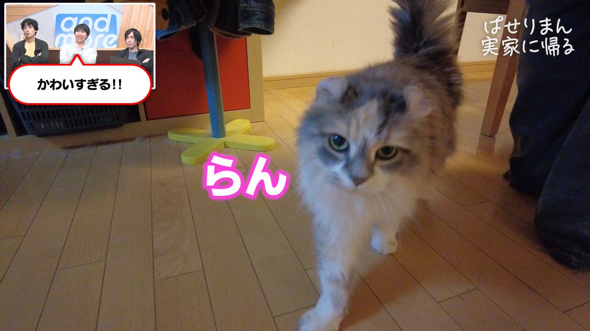 andmore_sb's tweet photo. 金髪無職ゲーマー、クレイジー親父に会いに実家に帰る。 https://t.co/lGpmfK81kp @YouTubeより https://t.co/OBpvWYZQZm