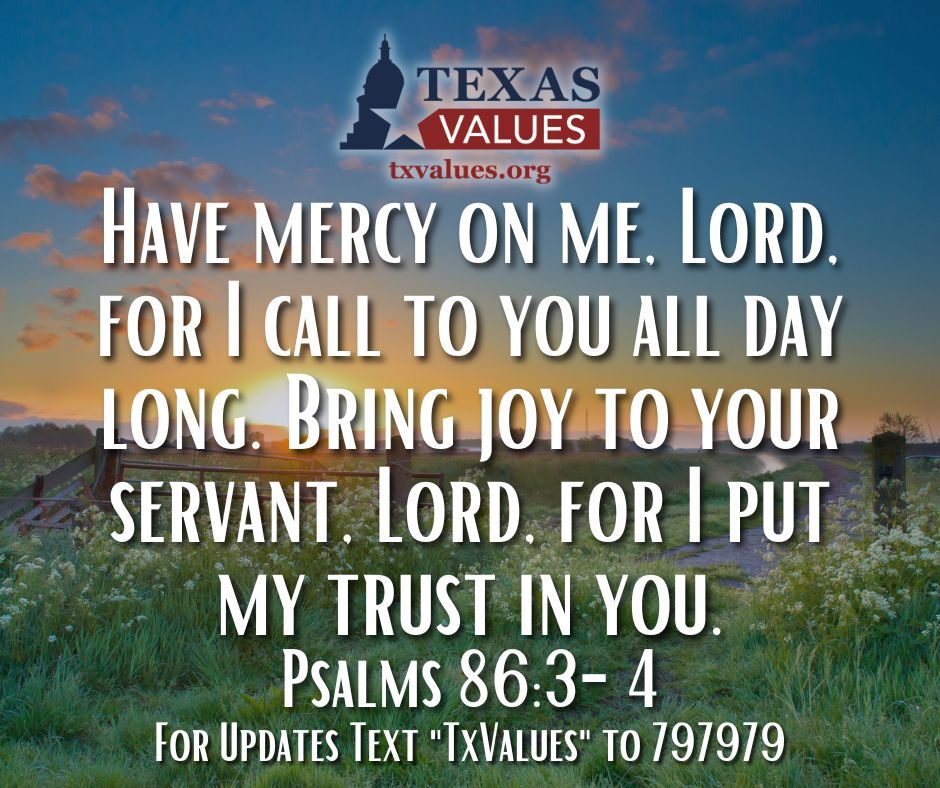 Texas Values (text txvalues to 797979 for update) tweet media
