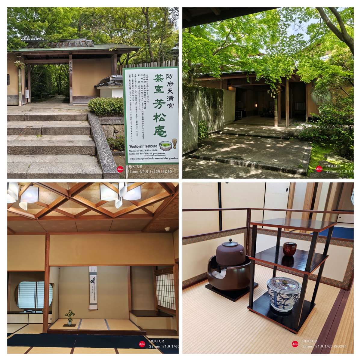 藻花珊瑚🪽🦋🚪🗝🐈‍⬛ tweet media