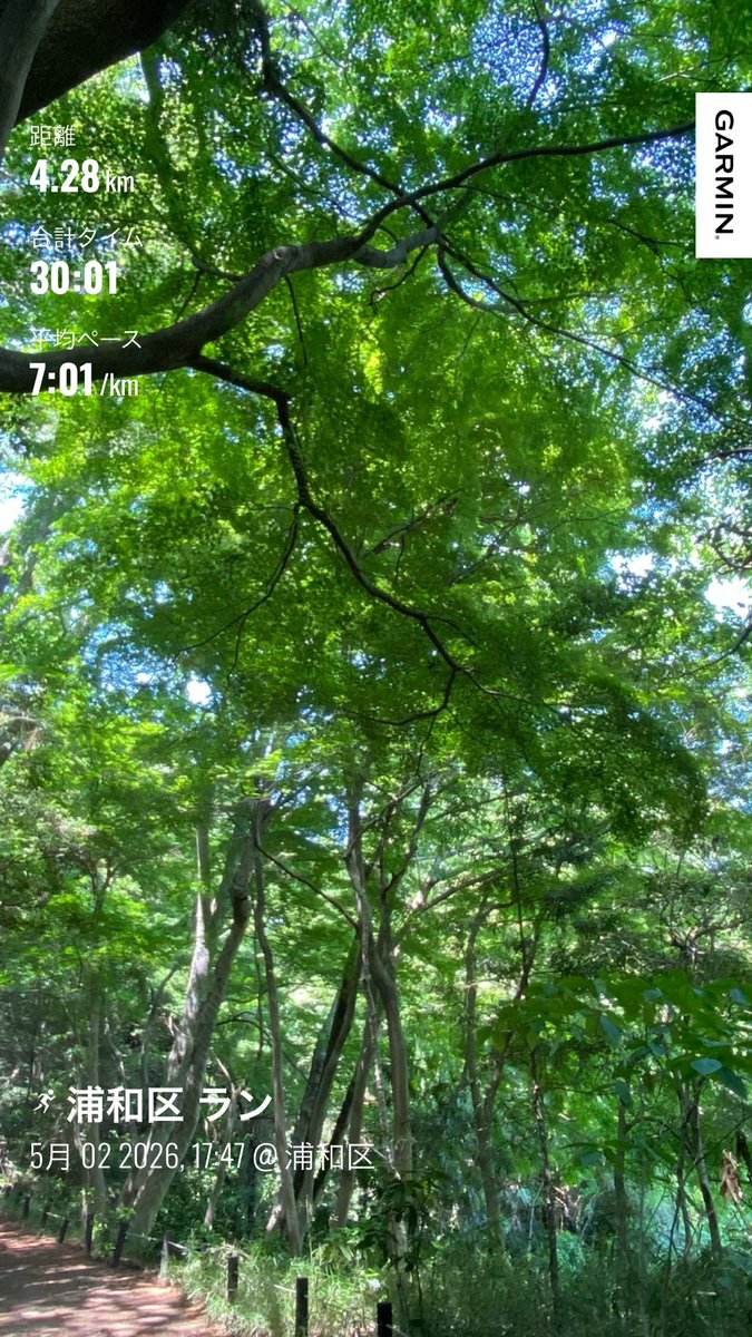 soukengogo's tweet photo. 東京散歩
白金散策〜自然教育園〜泉岳寺〜高輪ゲートウェイ

都会の森は素晴らしかった！
心身ともにリフレッシュされたのに
赤穂義士墓所の線香の煙はもはや事故
全身燻製状態となりました https://t.co/nJ8qG7uDL3