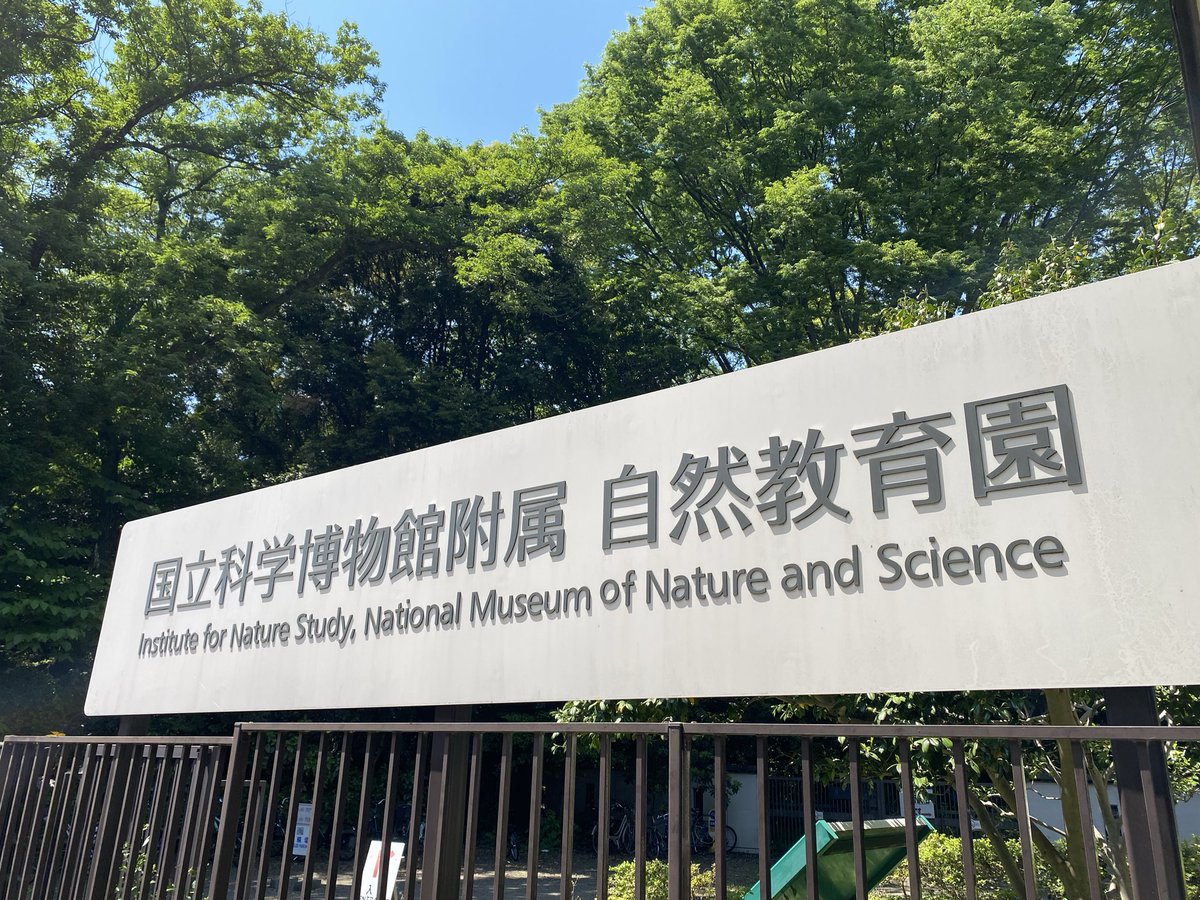 soukengogo's tweet photo. 東京散歩
白金散策〜自然教育園〜泉岳寺〜高輪ゲートウェイ

都会の森は素晴らしかった！
心身ともにリフレッシュされたのに
赤穂義士墓所の線香の煙はもはや事故
全身燻製状態となりました https://t.co/nJ8qG7uDL3