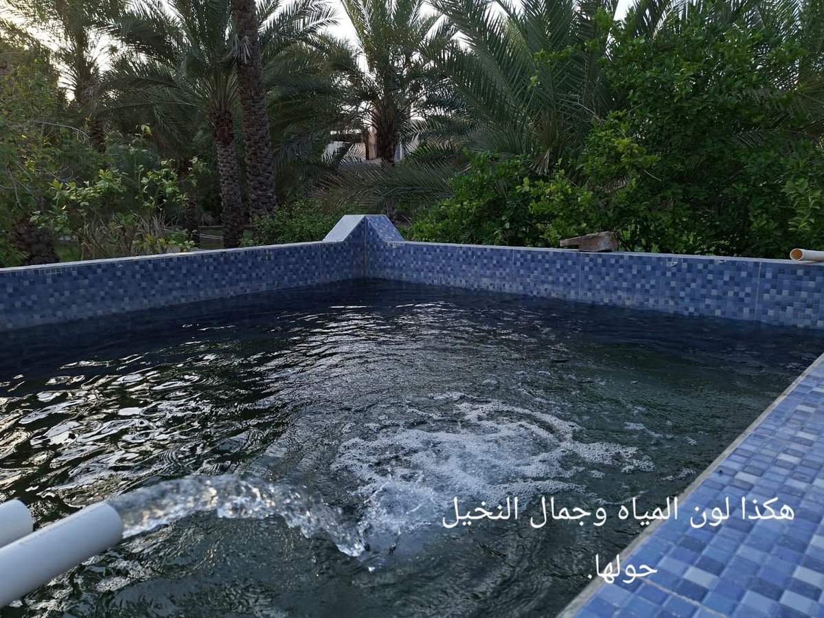 الحسم tweet media