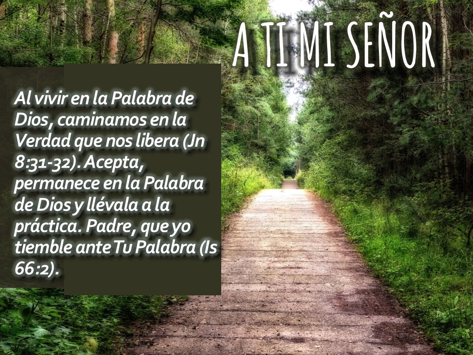 roklaroll's tweet image. #oración #oraciones #fe #esperanza #motivacion #pasajebiblico #fyp #foryoupageシforyou