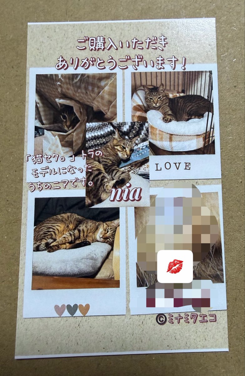 inari_minami's tweet photo. 明日、12時〜北九州メッセで開催される九州コミティア10に
【キジトラ屋】で明日サークル参加します🐈🐾
サークルナンバーはN23です🏵️
新刊に付ける新刊のお礼カードには
うちのにゃんこのセクシーショット💋
お付けしてます😽　一応ぼかしときますね笑笑😹よろしくお願いします！
#九州コミティア10 https://t.co/KVWG6NP7J8