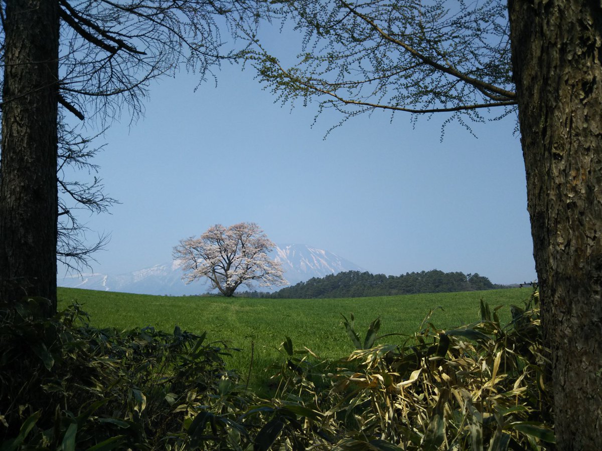 自転車ぱんだ tweet media