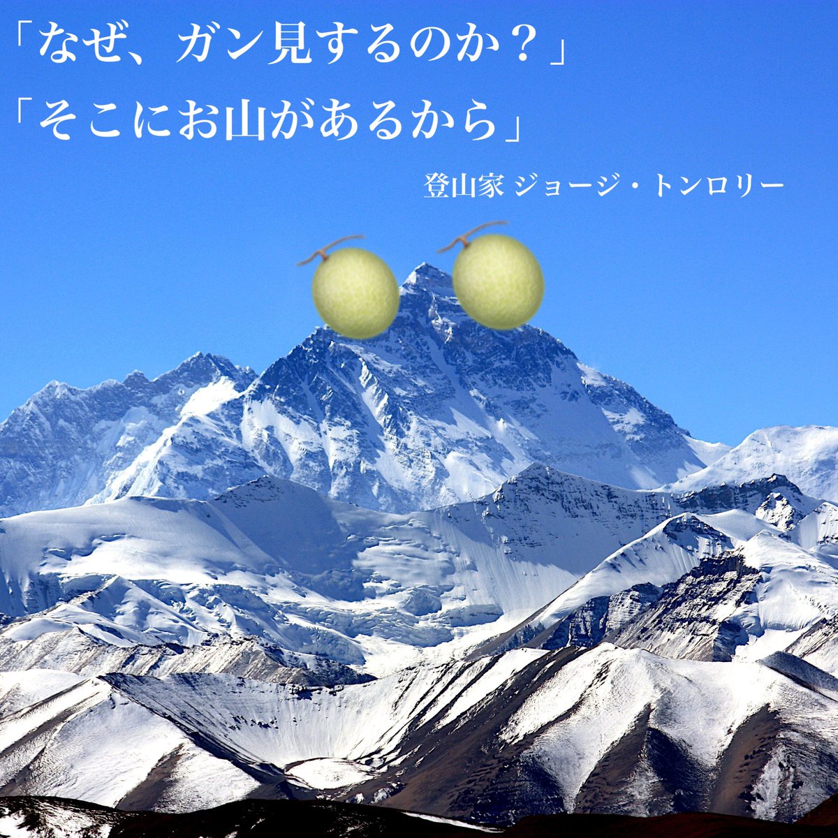とんくん tweet media