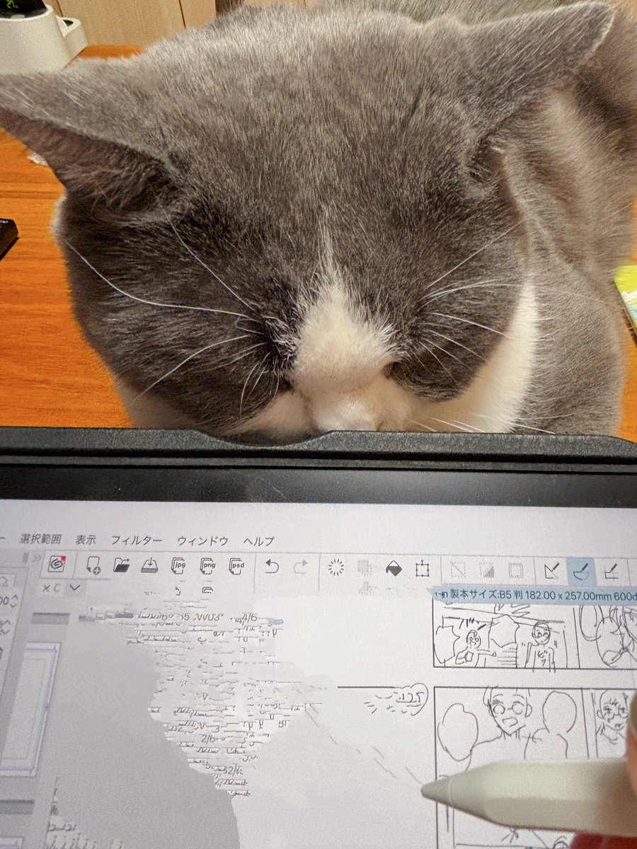 びっけ tweet media