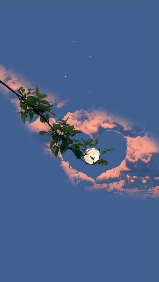 🌿 tweet media