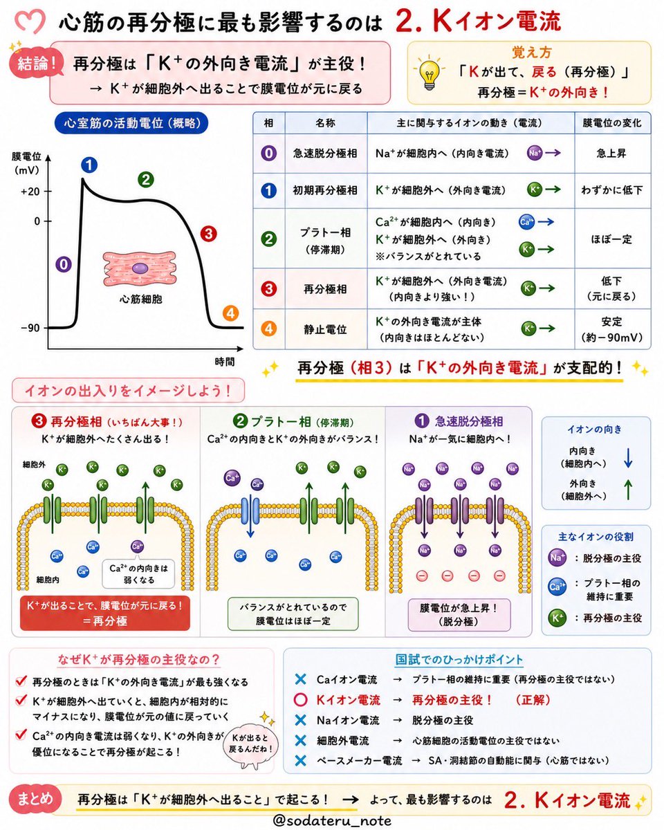 国試対策 3,4年生向け】国試まで使えるセット商品が登場！ | INFORMA by