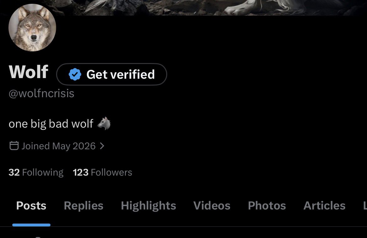 Wolf tweet media