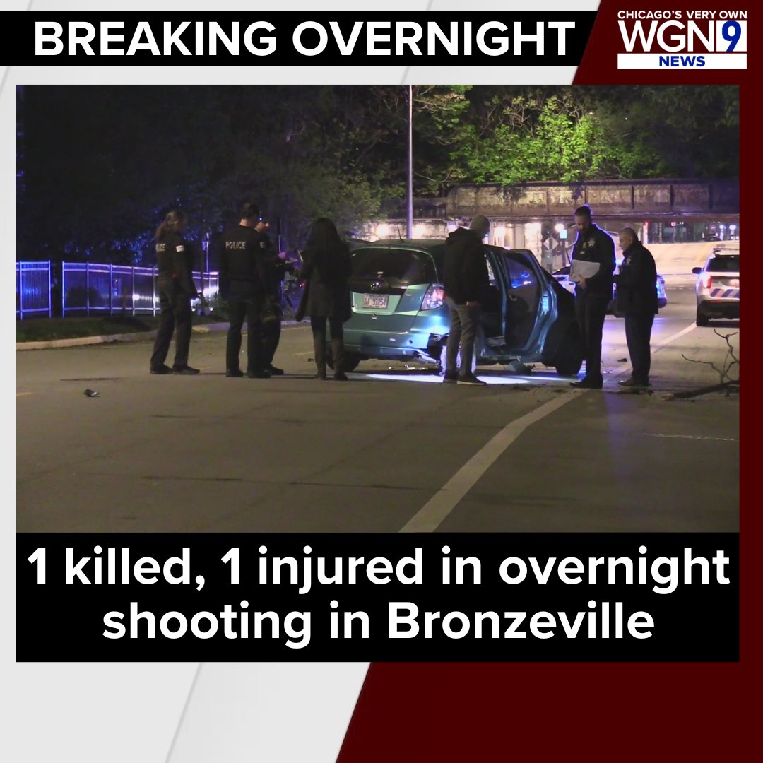 WGN TV News tweet media