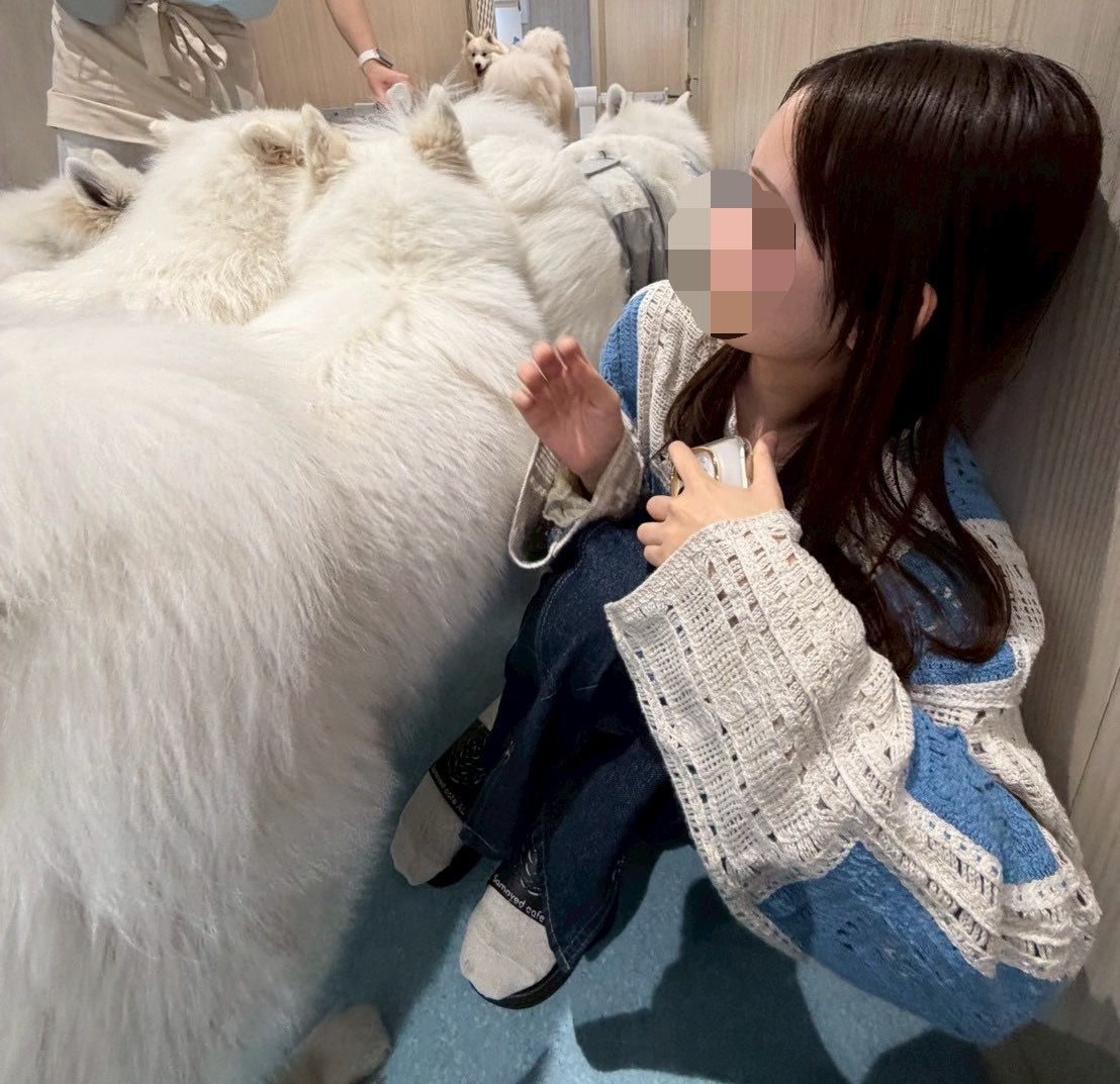 moco__38's tweet photo. サモエドかわいいすぎた☁️

何度かつぶされたけど https://t.co/1he1yT9AIF