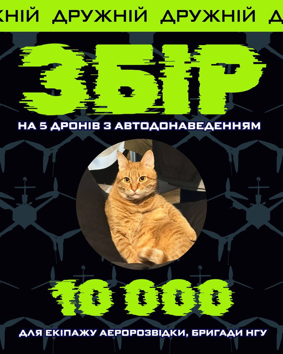 зарєма заубієвна tweet media