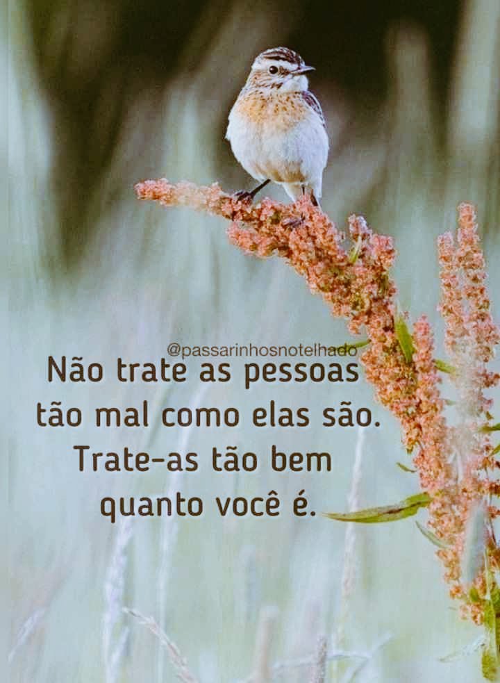 Lucas102472092's tweet photo. Um abraço para todos! ❤️🫶 https://t.co/fWOHFc4R59