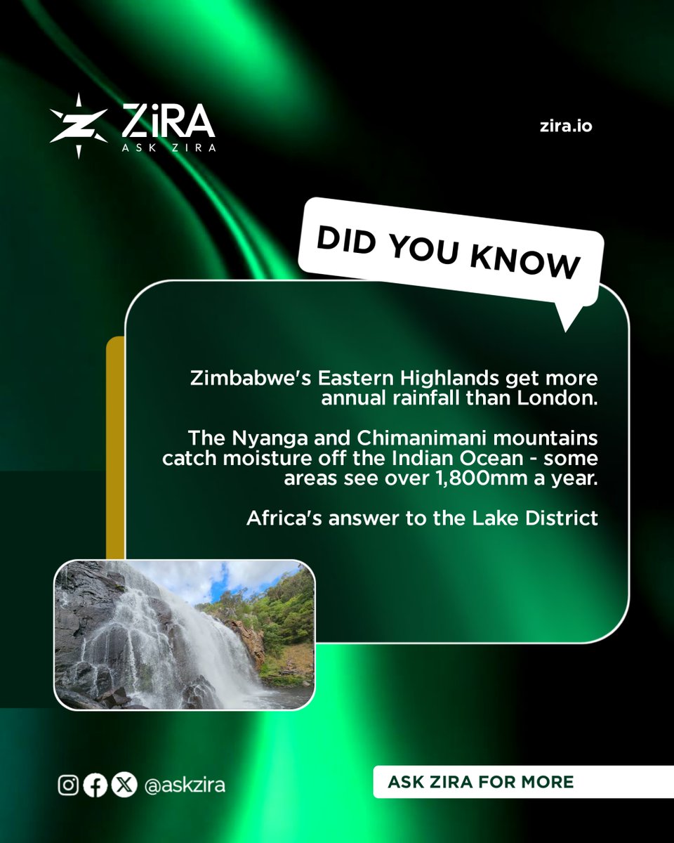 ZiRA™ : Zimbabwe Resource Assistant tweet media