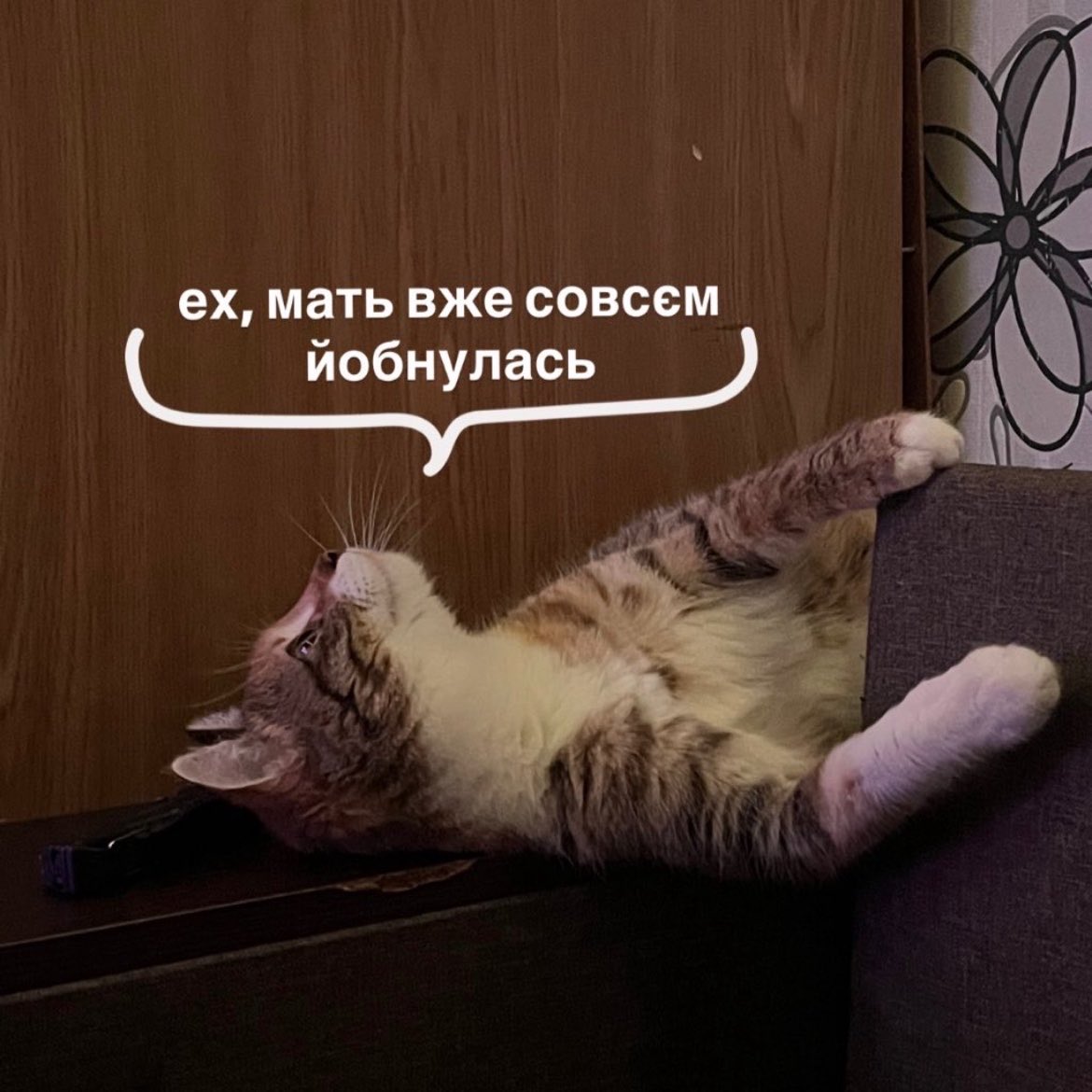 жанна, 26, 🇺🇦 tweet media