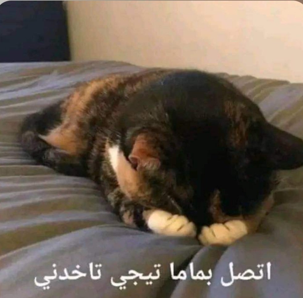 ؏ــڔٰا̍ب 𝓐𝓩𝓗𝓐𝓡 tweet media