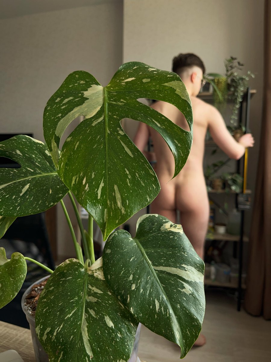 броколі 🥦 tweet media