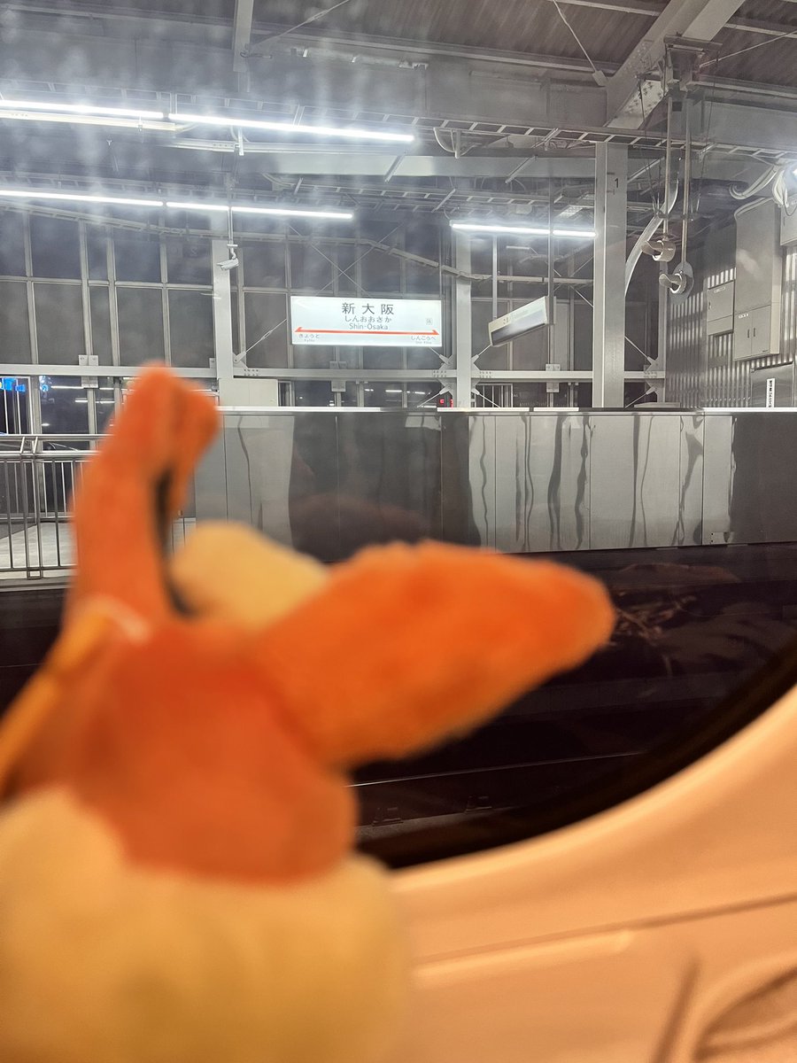 leele35's tweet photo. 泣きながら帰ります https://t.co/EwRjBvOgIy