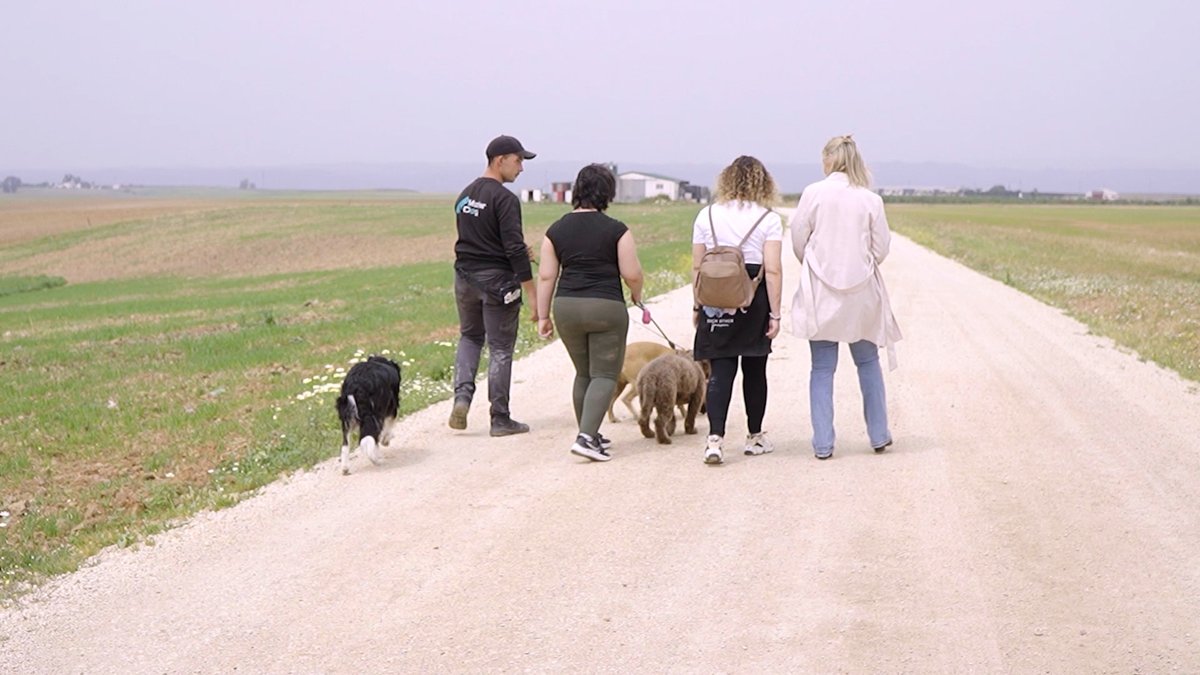 patasarribacsur's tweet photo. Hoy, en el #DíaInternacionalDelBullying nos sumamos a la lucha contra el acoso escolar con un reportaje muy especial, la historia de Sakura y Aroa 🧡🐶

Sakura, una perrita que gracias a su amor incondicional, Aroa encontró una razón para seguir. 

👉🏼 Conócela en @canalsurmas https://t.co/OXAO4V0DZ2