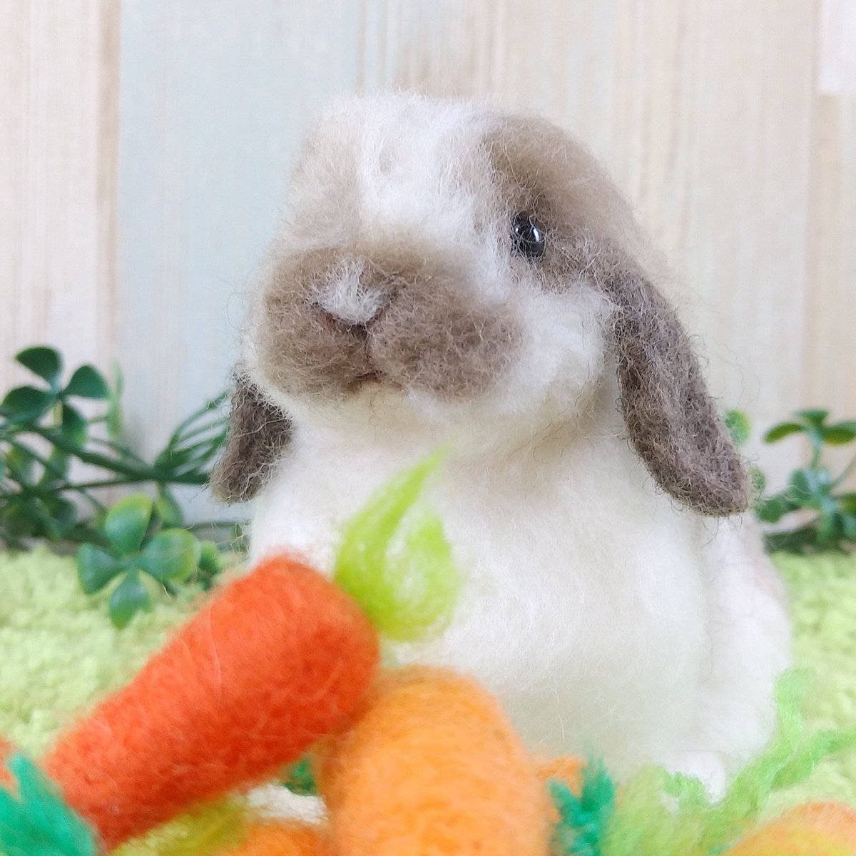 うーらんどーる🐇 tweet media
