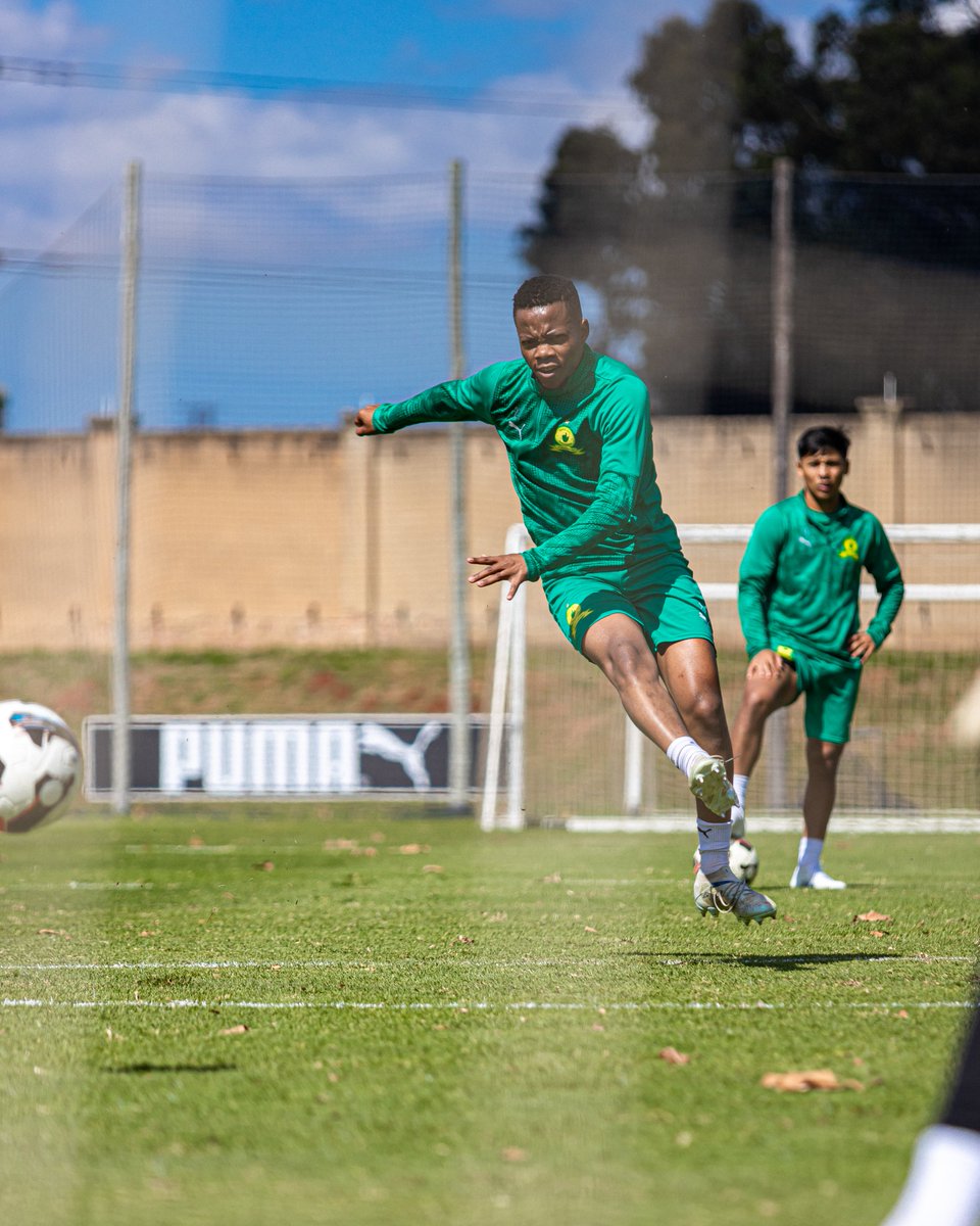 Mamelodi Sundowns FC tweet media
