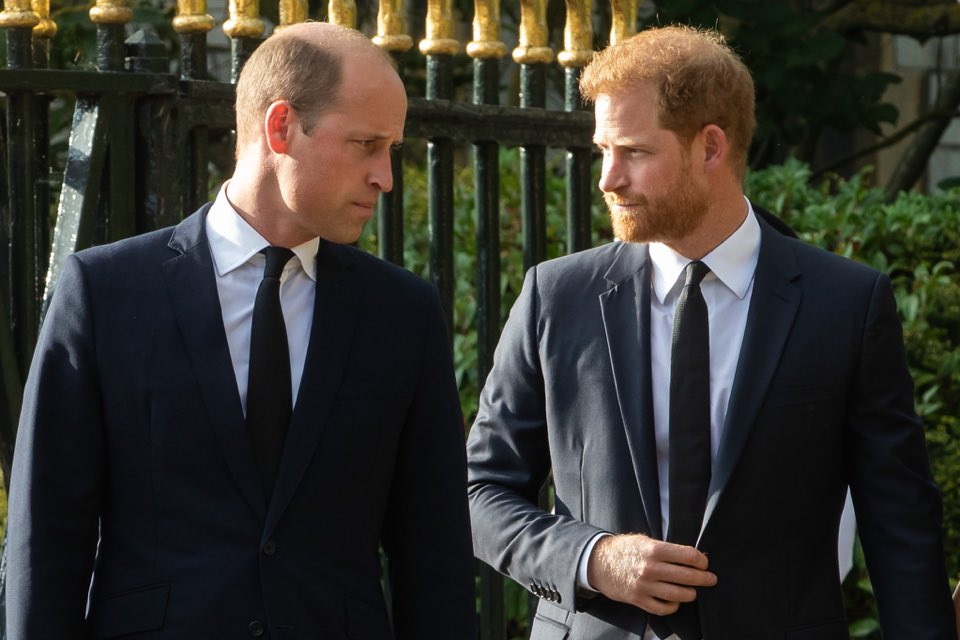 🇬🇧King 🇬🇧 tweet media